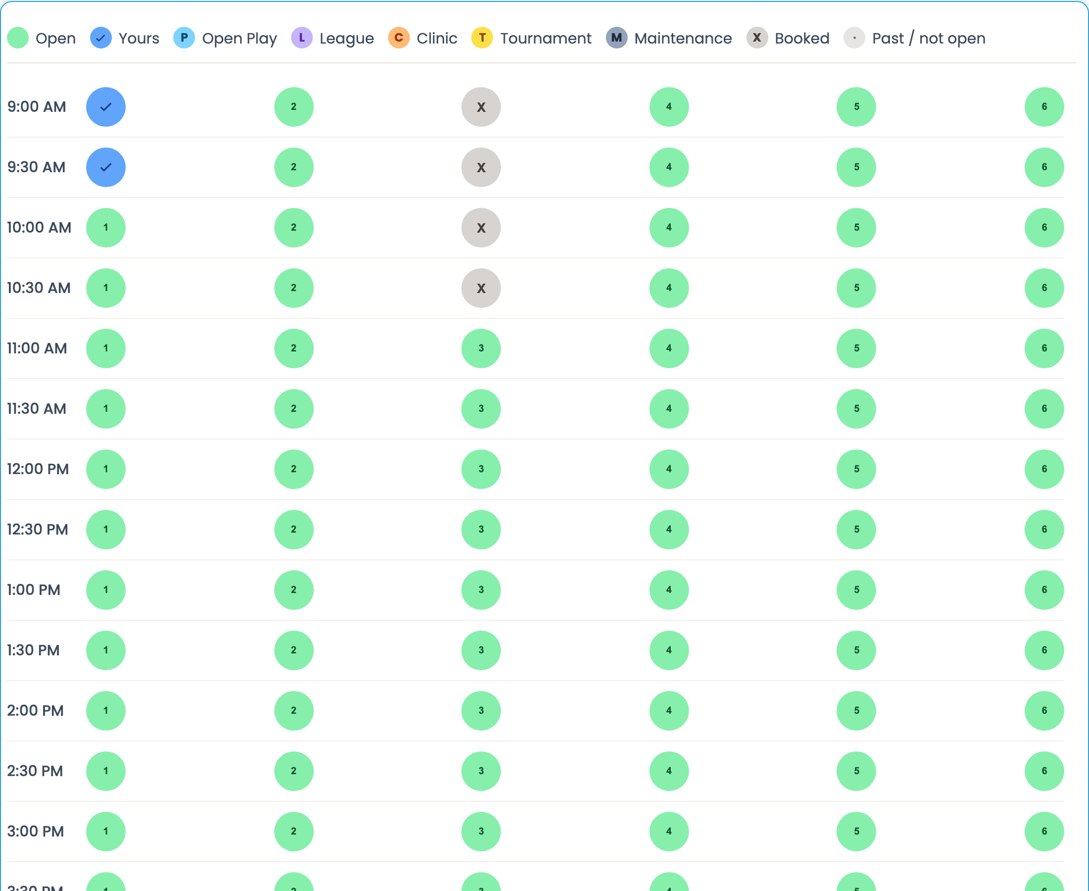 Court calendar Day view with color key badges and numbered green Open slots